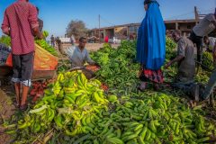 Banana Grocery Market Hargeisa