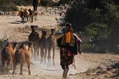 Somaliland nomad